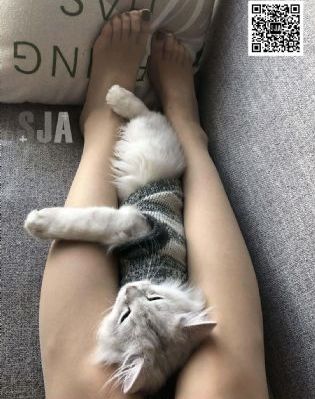 一级特黄一级片_BD韩语在线播放